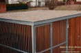 /album/nadstandartni-kotec-4-x-4-5-x-2-2-s-technickou-mistnosti-vcetne-elektroinstalace-zateplena-psi-bouda-s-predsinkou-/img-1305-0002-jpg/